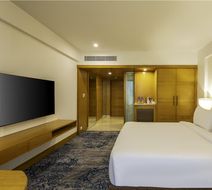 Radisson Blu Hotel  Pune  Kharadi Room