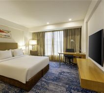 Radisson Blu Hotel  Pune  Kharadi Room