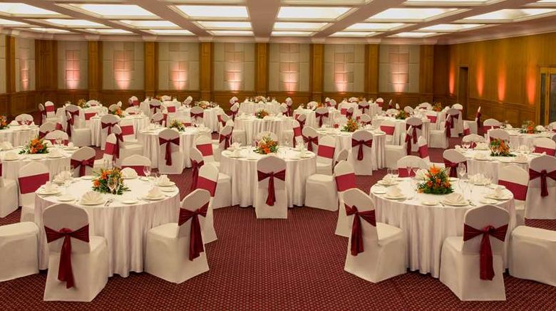 <b>Radisson Blu Kochi Meeting</b>. Images powered by <a href="https://iceportal.shijigroup.com/" title="IcePortal" target="_blank">IcePortal</a>.
