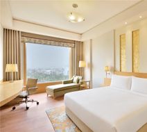 Radisson Noida Room