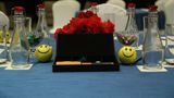 Radisson Hotel New Delhi Paschim Vihar Meeting