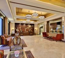 Radisson Srinagar Lobby