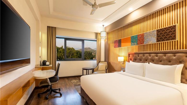 <b>Radisson Srinagar Room</b>. Images powered by <a href="https://iceportal.shijigroup.com/" title="IcePortal" target="_blank">IcePortal</a>.