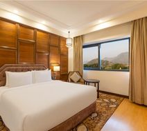 Radisson Srinagar Room