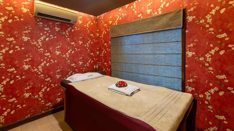Radisson Srinagar Spa