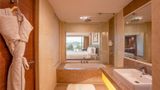 Radisson Udaipur Suite