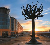 Radisson Blu Waterfront Hotel Jersey Exterior