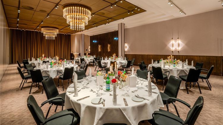 Radisson Blu Senator Hotel Other