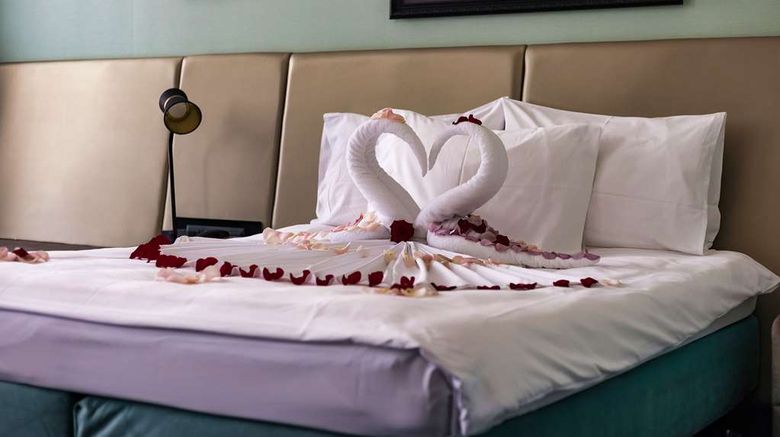 <b>Radisson Royal Hotel St Petersburg Other</b>. Images powered by <a href="https://iceportal.shijigroup.com/" title="IcePortal" target="_blank">IcePortal</a>.