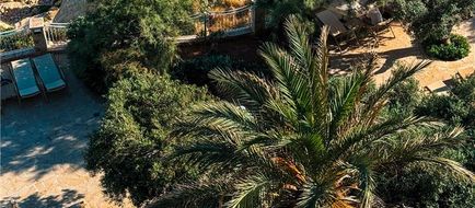 Radisson Blu Resort & Spa, Golden Sands Exterior