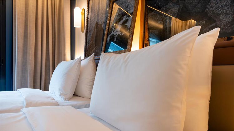 Radisson Blu Nantes Room