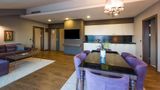 <b>Radisson Blu Hotel Ordu Suite</b>. Images powered by <a href="https://iceportal.shijigroup.com/" title="IcePortal" target="_blank">IcePortal</a>.