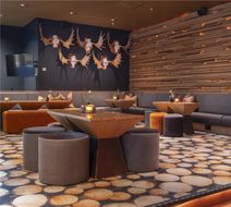 Radisson Blu Resort, Trysil Lobby