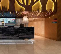 Park Inn Radisson Istanbul Asia Kavacik Lobby