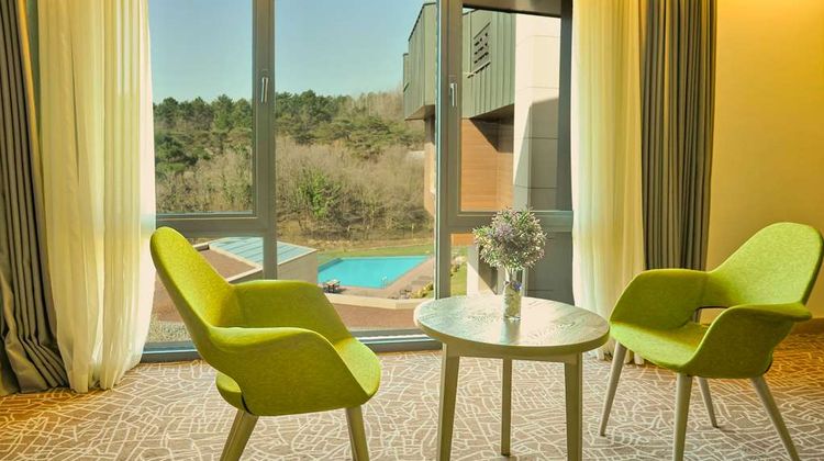 Park Inn By Radisson Istanbul Odayeri Suite