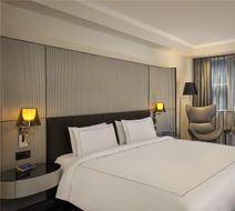 Park Plaza Victoria London Room