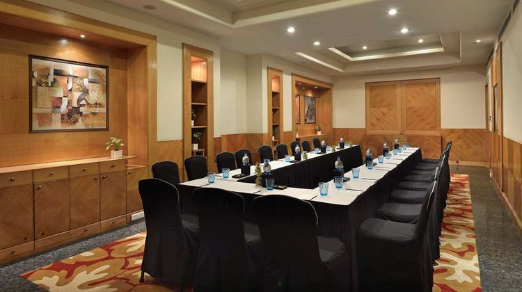 Park Plaza Gurgaon Meeting