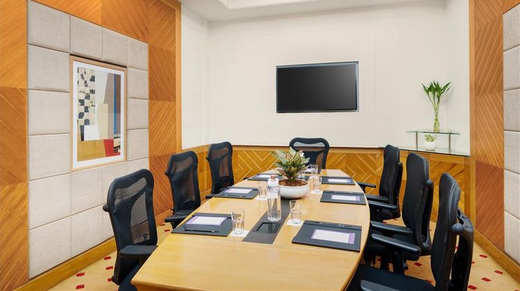 Park Plaza Gurgaon Meeting