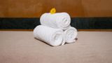 Park Plaza Ludhiana Spa