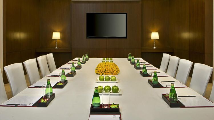 Park Plaza Zirakpur Meeting