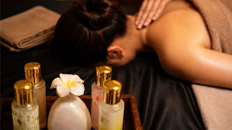 Park Plaza Zirakpur Spa