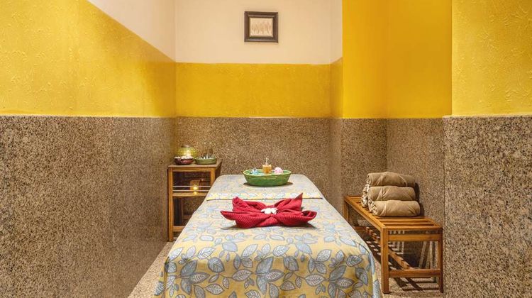 Park Plaza Chennai OMR Spa