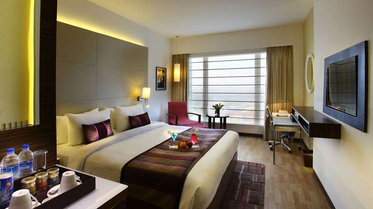 Park Plaza Delhi CBD Shahdara Room