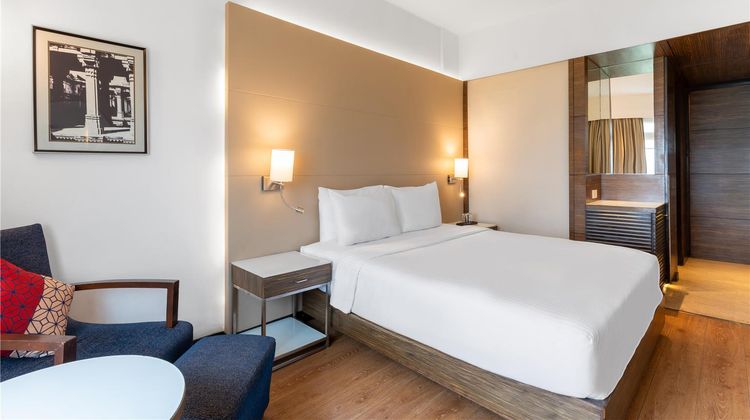 Park Plaza Delhi CBD Shahdara Room