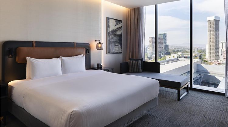 Hilton Guadalajara Midtown Room