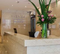 Dazzler San Martin Lobby