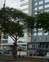 Dazzler Lima Hotel