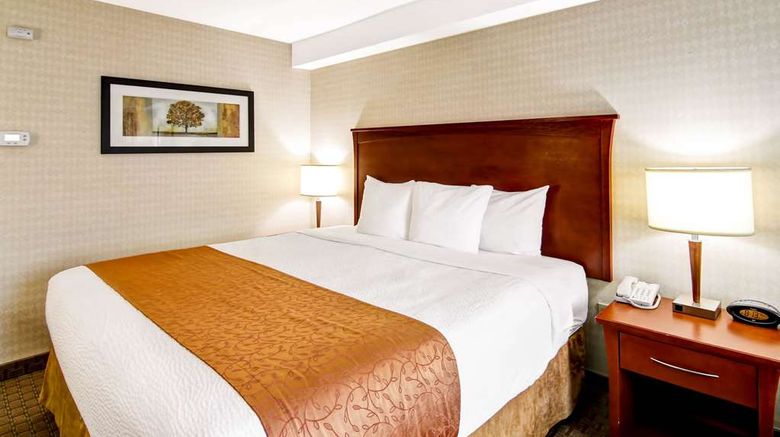 <b>Quality Inn Kitchener-Waterloo Room</b>. Images powered by <a href="https://iceportal.shijigroup.com/" title="IcePortal" target="_blank">IcePortal</a>.