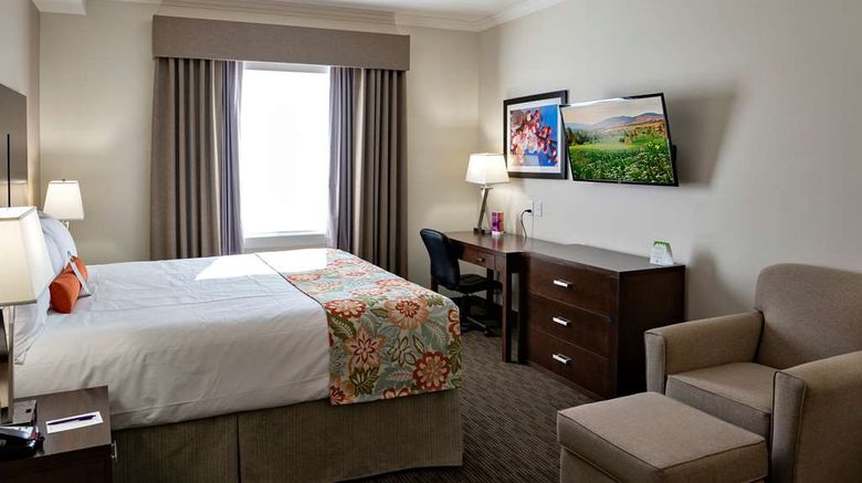 <b>Coast Oliver Hotel Room</b>. Images powered by <a href="https://iceportal.shijigroup.com/" title="IcePortal" target="_blank">IcePortal</a>.