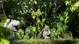Hyatt Regency Bali Recreation