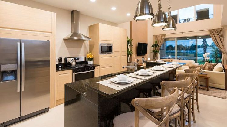 Magic Village Yards, Trademark Collectio Room