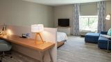 Hilton Garden Inn Tampa-Wesley Chapel Room