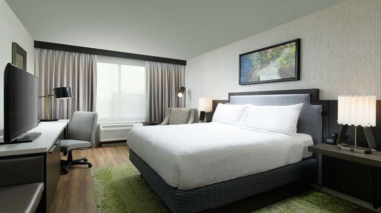 <b>Hilton Garden Inn Memphis Downtown Room</b>. Images powered by <a href="https://iceportal.shijigroup.com/" title="IcePortal" target="_blank">IcePortal</a>.