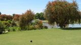Hilton Pilar Golf