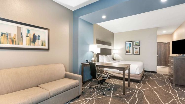 La Quinta Inn & Suites Spring Room