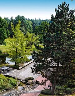 Bold Campus