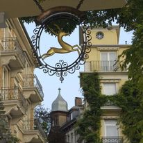 Heliopark Bad Hotel Zum Hirsch