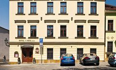Hotel u Pava