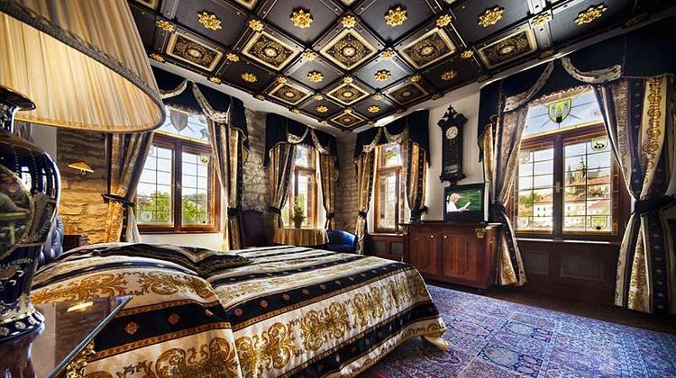 Hotel u Pava Room