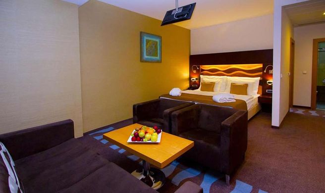 Hotel Danubia Gate Room