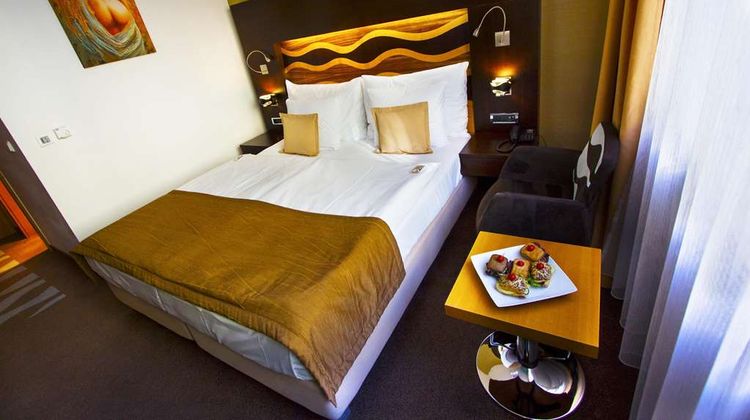Hotel Danubia Gate Room