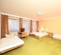 Schuster Hotel Room