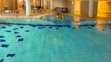 Louisa's Place Pool
