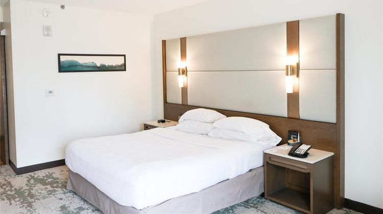Hilton Garden Inn Denver Union Station Room