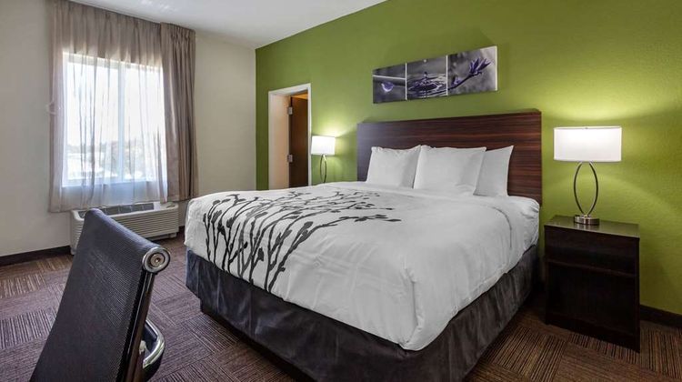 Sleep Inn and Suites Tampa South Suite