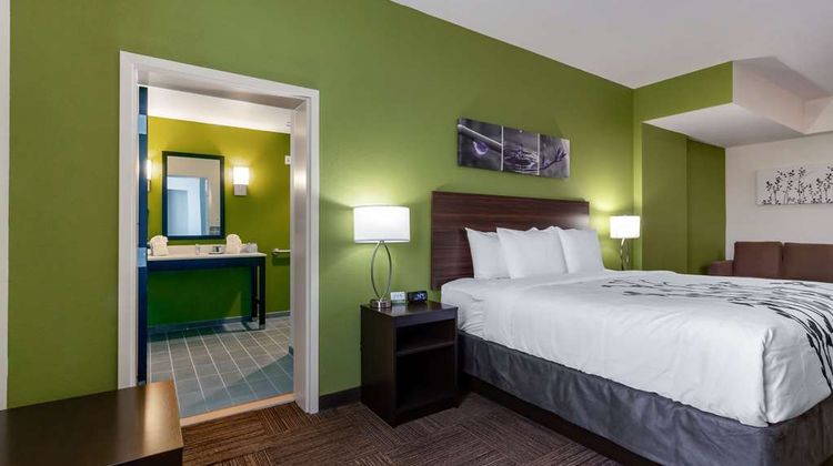 Sleep Inn and Suites Tampa South Suite